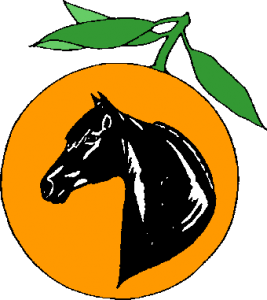 CClogo