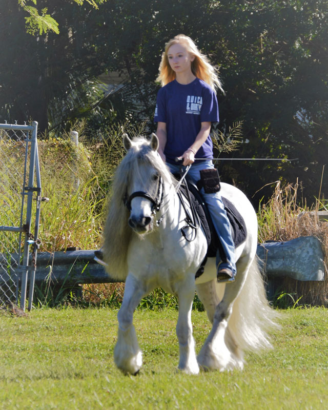 Waypoint Carriage Ponies