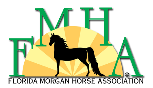 Florida Morgan Horse Association