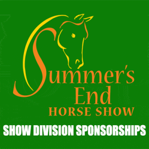 show division sponsorships
