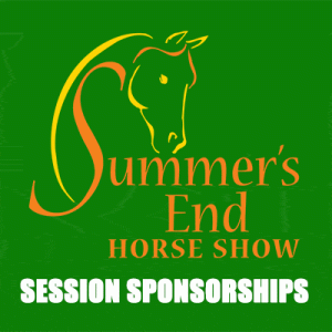 session sponsorships