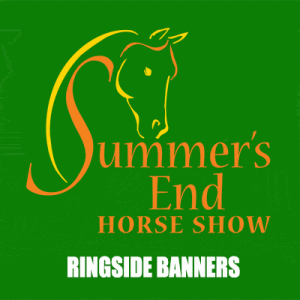 Ringside Banners