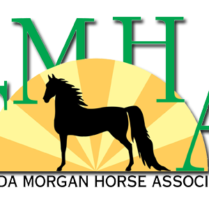 Florida Morgan Horse Association