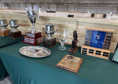 2025 Citrus Cup